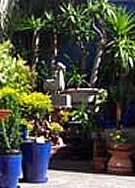 ambience image
