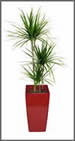 floorstanding plant and pot