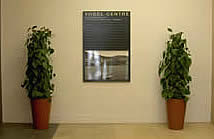 Office plants